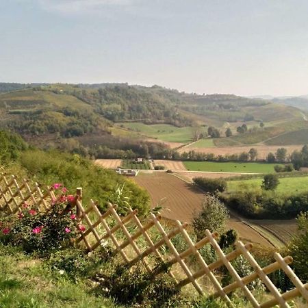 Large Secluded Villa, Fabulous Countryside Views, Beautiful Piedmonte Landscape Castelnuovo Belbo Eksteriør bilde