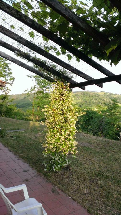 Large Secluded Villa, Fabulous Countryside Views, Beautiful Piedmonte Landscape Castelnuovo Belbo Eksteriør bilde