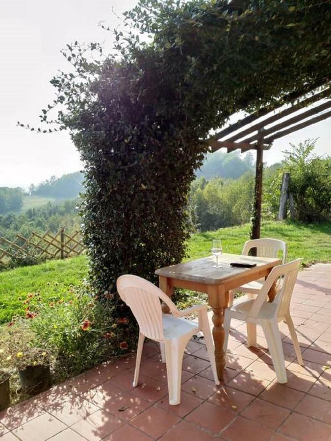 Large Secluded Villa, Fabulous Countryside Views, Beautiful Piedmonte Landscape Castelnuovo Belbo Eksteriør bilde