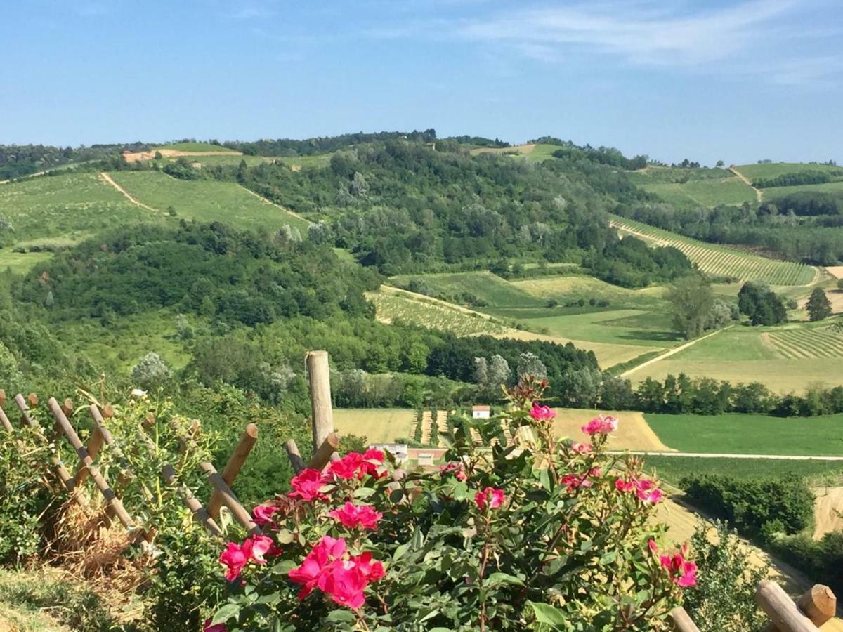 Large Secluded Villa, Fabulous Countryside Views, Beautiful Piedmonte Landscape Castelnuovo Belbo Eksteriør bilde